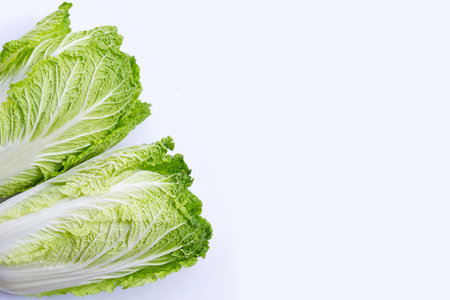 Chinese cabbage on white background. Copy spaceの写真素材