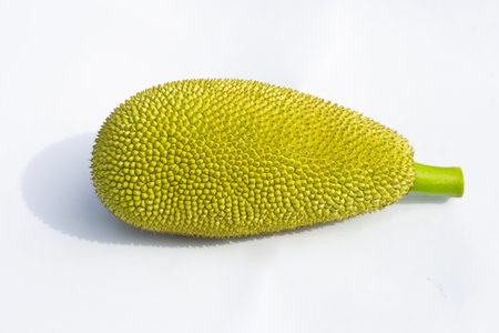 Green young Jackfruit isolated on white background