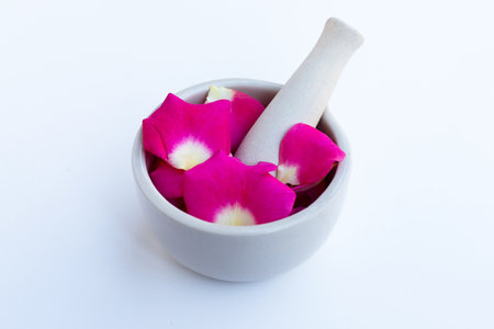 Rose petals in porcelain mortar with pestle isolated on white background.の写真素材