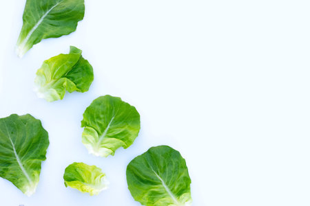 Lettuce leaves on white background. Top viewの写真素材