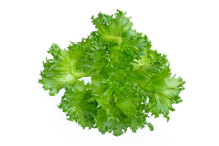 Fresh frillice iceberg lettuce on white background.の写真素材