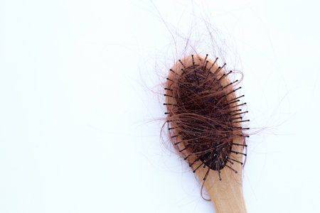 Hairs loss fall in comb on white background.
