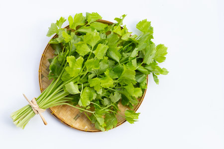 Chinese celery on white background