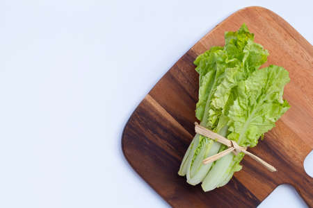 Chinese Cabbage on white background.の写真素材