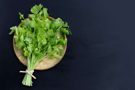 Chinese celery on dark background. Copy spaceの写真素材