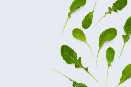 Fresh green rocket salad on white background.の写真素材