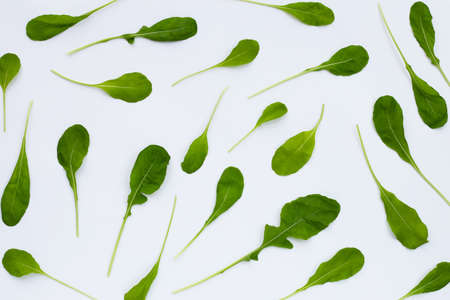 Fresh green rocket salad on white background.の写真素材