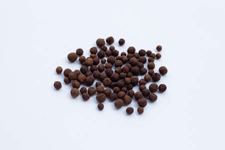 Allspice isolated on white background. Copy spaceの写真素材