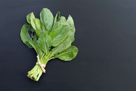 Collard green leaves with holes, eaten by pest. Organic Vegetableの写真素材
