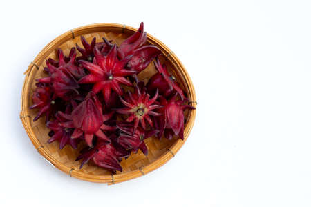 Roselle flower isolated on white background.