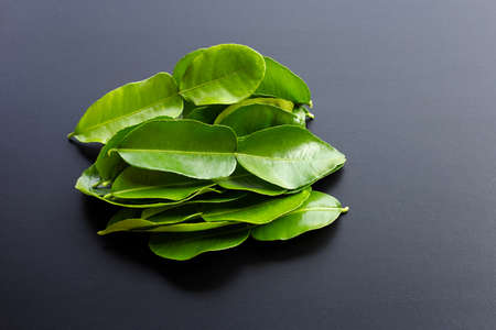 Bergamot kaffir lime leaves herb fresh ingredient on dark background.の写真素材