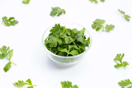 Coriander leaves on white background.の写真素材