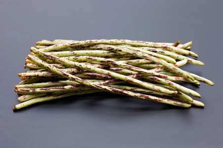 Green purple yard long bean on dark background.の写真素材