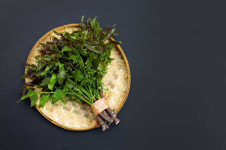 Neem leaves and flowers on dark background.の写真素材