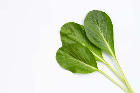 Choy Sum on white background. Organic vegetable on white