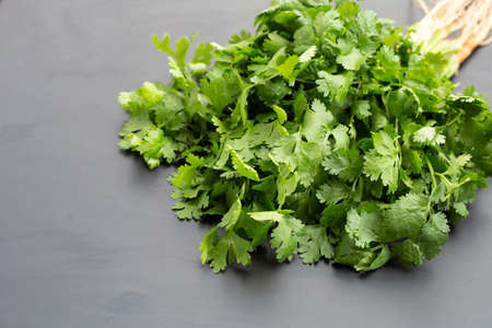 Fresh coriander on dark background.の写真素材