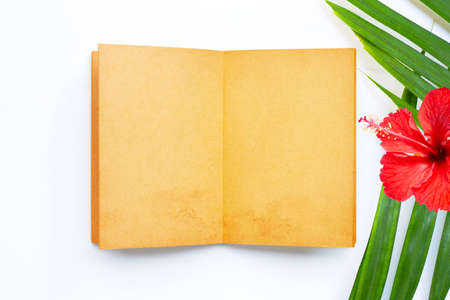 Opened old book with red hibiscus flower on white background. Summer background conceptの写真素材