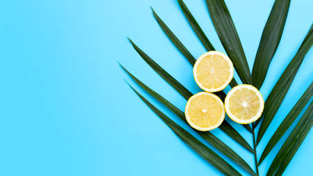 Fresh lemon with tropical palm leaves on blue background.の写真素材