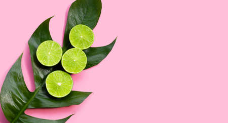 Fresh limes on monstera adansonii leaf on pink background.の写真素材