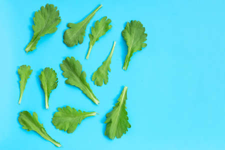 Garland Chrysanthemum leaves on blue background.の写真素材