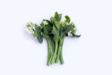 Chinese kale flowers on white background.の写真素材