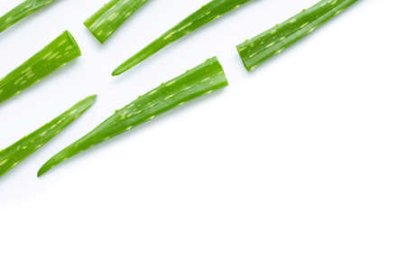 Aloe vera is a popular medicinal plant for health and beauty, on a white background.の写真素材