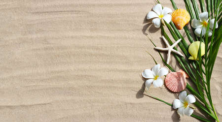 Plumeria flowers with starfish and seashells on tropical palm leaves on sand. Summer background conceptの写真素材