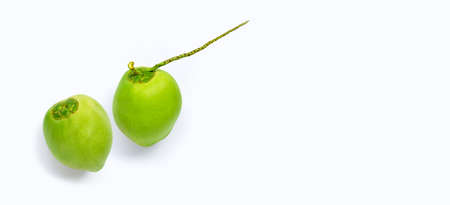 Whole of fresh green  young coconut fruits on whiteの写真素材