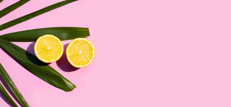 Fresh lemon on pink surface. Copy space