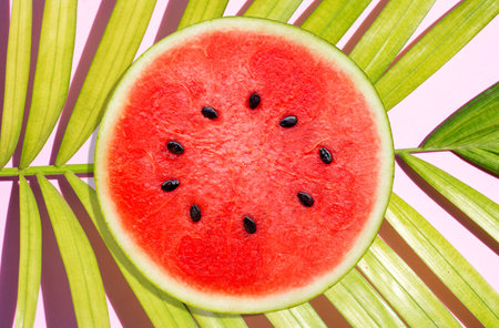 Watermelon on tropical palm leaves on pink surfaceの写真素材