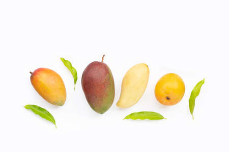 Tropical fruit, Mango  on white background. Top viewの写真素材
