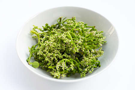 Ceylon Spinach flower in white bowl on white background.の写真素材