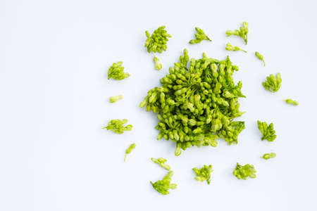 Fresh cowslip creeper on white backgroundの写真素材