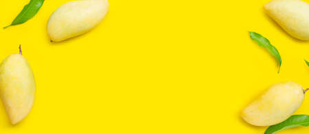 Frame made of Tropical fruit, Mango on yellow background. Top viewの写真素材