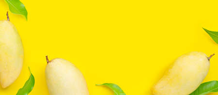 Tropical fruit, Mango on yellow background. Top viewの写真素材