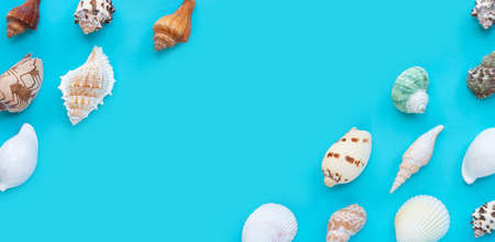 Frame made of exotic seashells on blue background.の写真素材