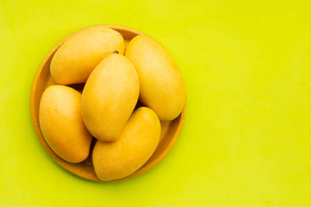 Tropical fruit, Mango in yellow plate on green background.の写真素材