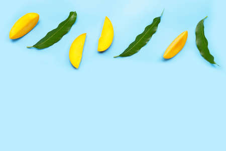 Tropical fruit, Mango slices with leaves on blue background.の写真素材