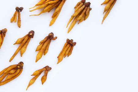 Finger root on white background.の写真素材