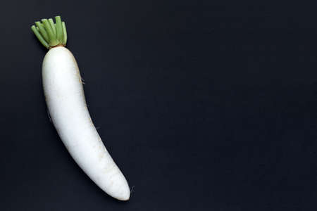 Daikon radishes on dark background. Copy spaceの写真素材