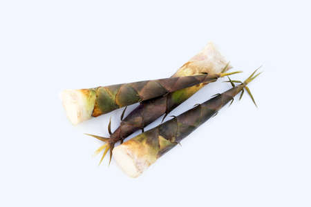 Fresh bamboo shoots white background.の写真素材