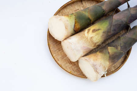 Fresh bamboo shoots white background.の写真素材