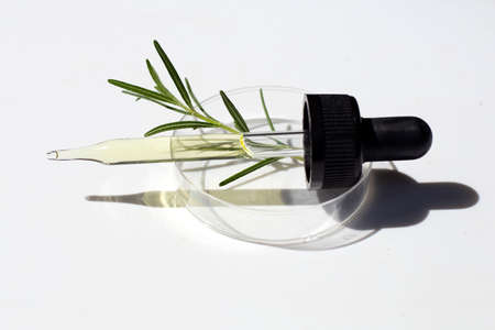 Essential oil with rosemary leaves in petri dishes on white background.の写真素材