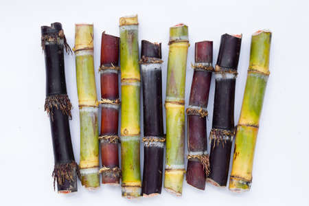 Sugar cane on white background.の写真素材