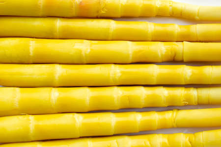 Preserved bamboo shoot on white background.