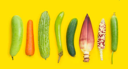 Winter melon, carrot, bitter melon, green long eggplant, cucumber, banana blossom, raw corn and sponge gourd on yellow background. Sex conceptの写真素材