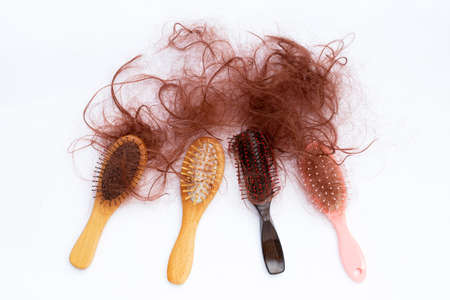 Hairs loss fall in combsの写真素材