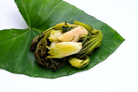 Pickled cabbage, Mustard Greens. Thai food styleの写真素材