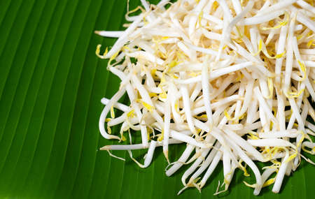 Bean sprouts on banana leafの写真素材