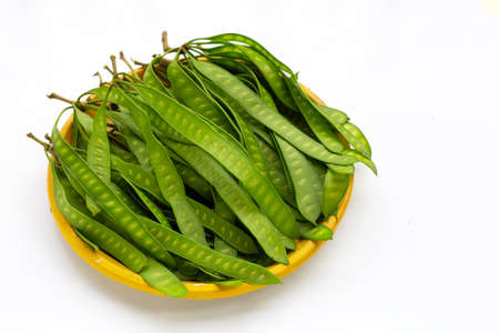 Young fruit of Leucaena leucocepphala in yellow plate on white background.の写真素材